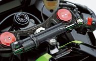 Fork guard ZX-10R ONEDESIGN PPSK19P