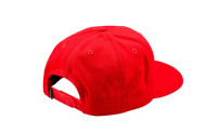 Șapcă TROY LEE DESIGNS Curved Snapback Stamp - ROȘU