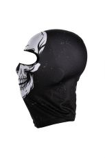 ICE2 ART SCULL beanie