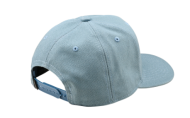 Șapcă TROY LEE DESIGNS Curved Snapback Stamp - ALBASTRU