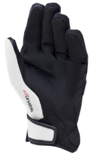 Gloves ALPINESTARS IGNITE DRYSTAR INS LIGHT GRAY/BLACK