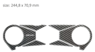 Protector for three-passenger PPSK18P/PR3155 KAWASAKI ZX10R 2006-2010.