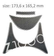 Protector for three-passenger PPSK5P/PR3143 KAWASAKI Z1000 2010-2013.