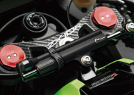 Protector for three-passenger PPSK19P/PR3156 KAWASAKI ZX10R 2011-2015.
