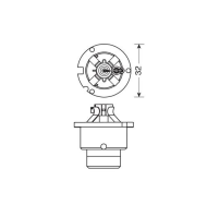 Крушка ксенон - D2S - 4300°K